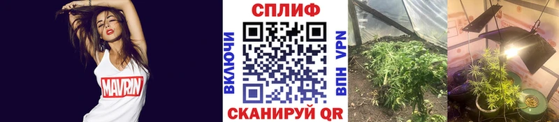 Бошки Шишки Bruce Banner Спасск-Рязанский